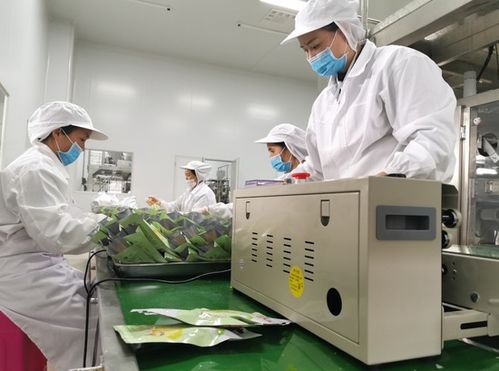 电力“蕉”出致富路 南方电网贵州兴义供电局助力册亨县小米蕉产业焕发新活力