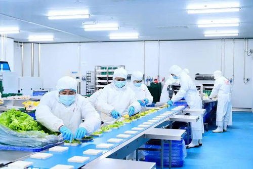 企业新风采 探访伊森诚品，一睹短保食品生产全过程